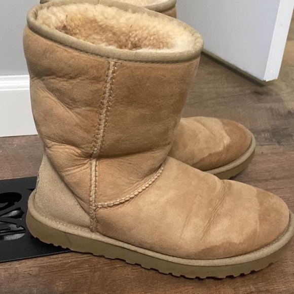 Womens Classic Short Cream Uggs - Picture 1 of 4
